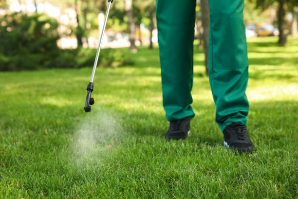Best Pest Control Near Me in Patterson, LA