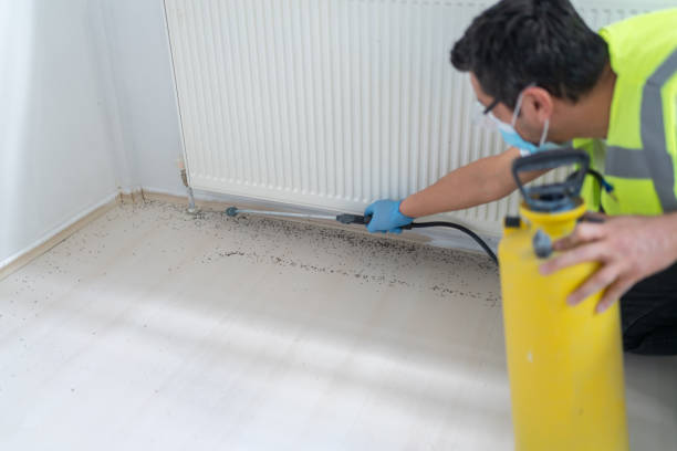Best Emergency Pest Control  in Patterson, LA